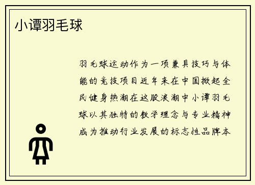 小谭羽毛球