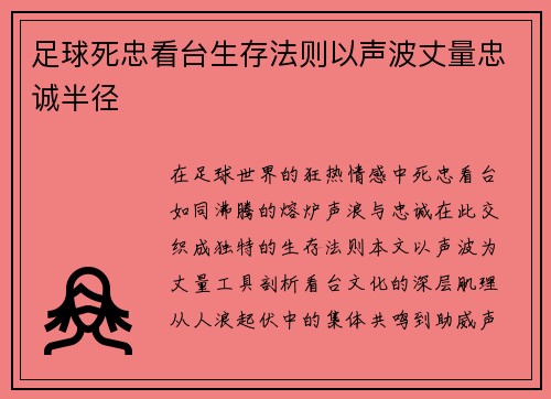 足球死忠看台生存法则以声波丈量忠诚半径